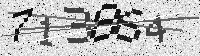 Security code image