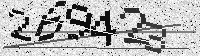 Security code image