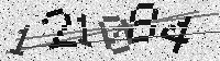 Security code image