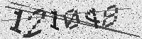 Security code image