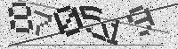 Security code image