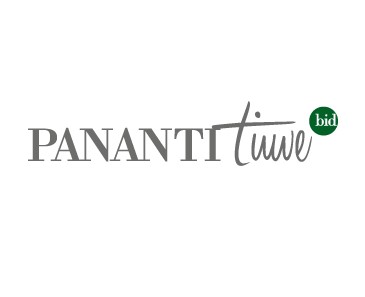 Pananti Time Bid - Auction types
